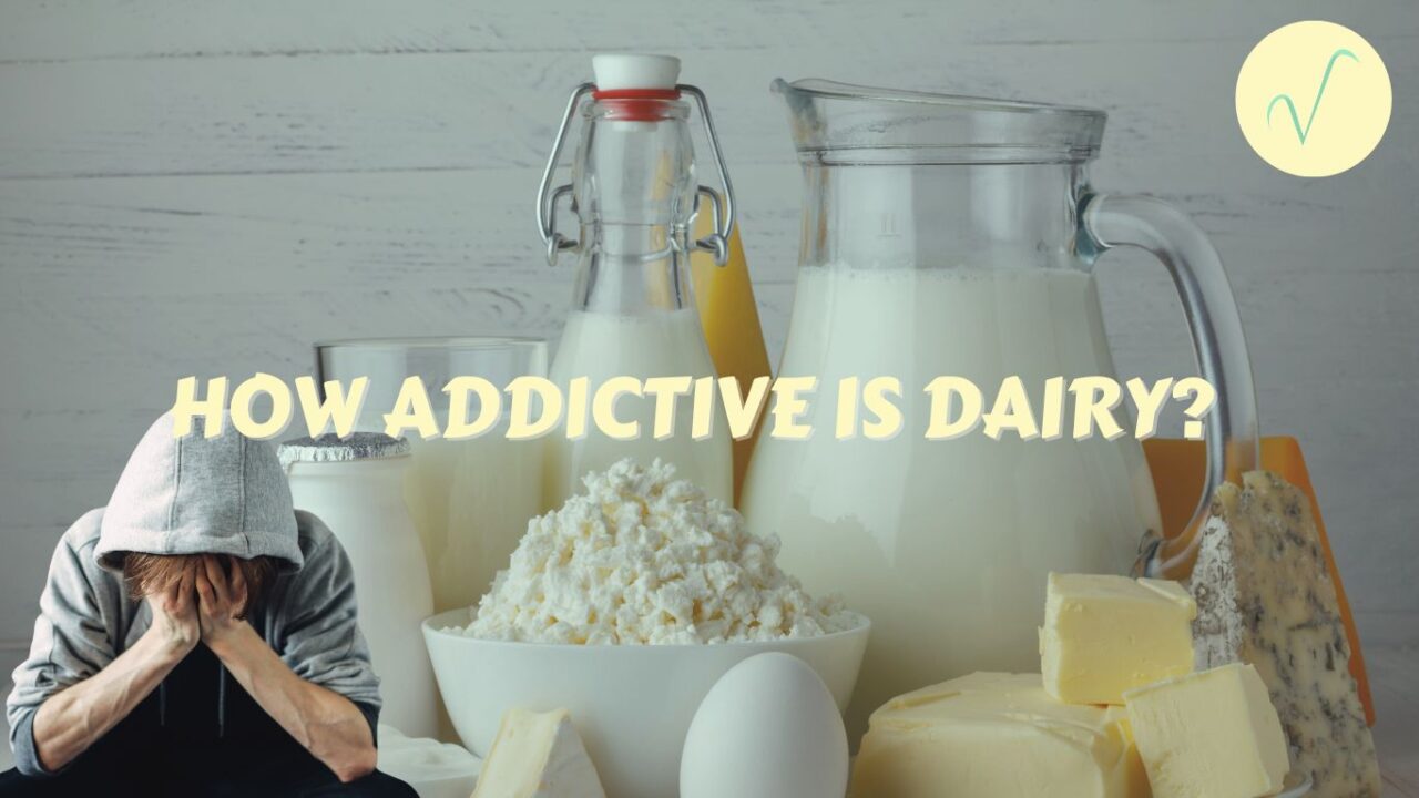 how addictive is dairy cover